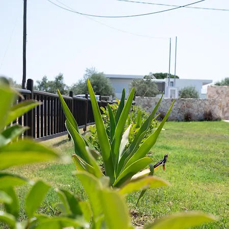 Stone And Sea Oasis * Κως Πόλη