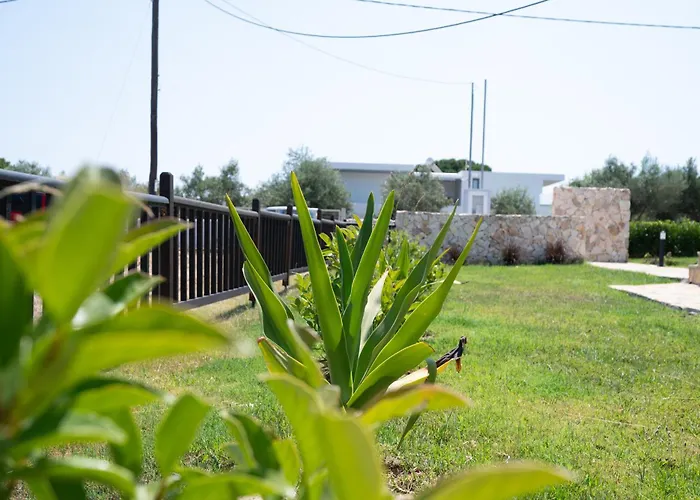 Stone And Sea Oasis * Kosz